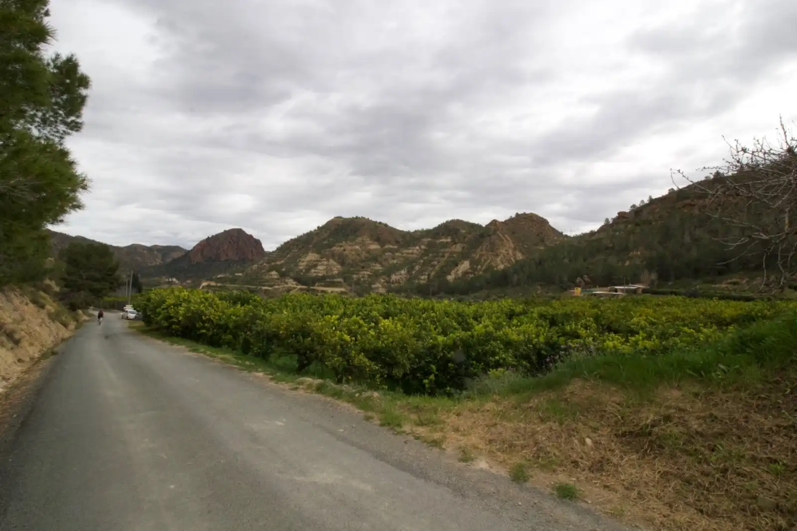 Residencial en venta en Algezares