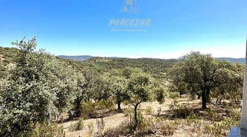 Foto 5 de Finca rústica en venta en Villaharta, Córdoba