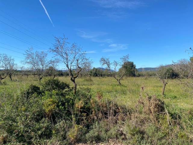 Finca rústica en Venta en El Pont d'Armentera