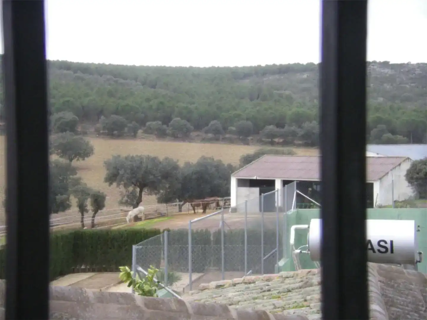 Jardín de Piso en venta en Piedrabuena