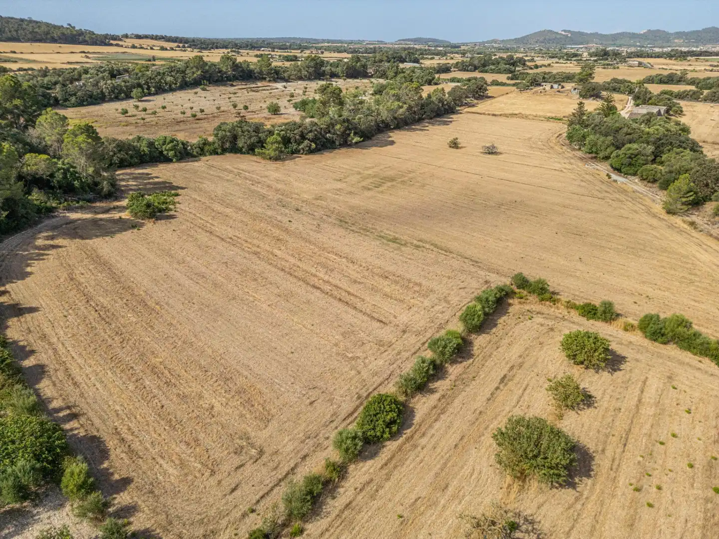Terrain rustique à vendre à Diseminado Son Mora 199, imagen 3