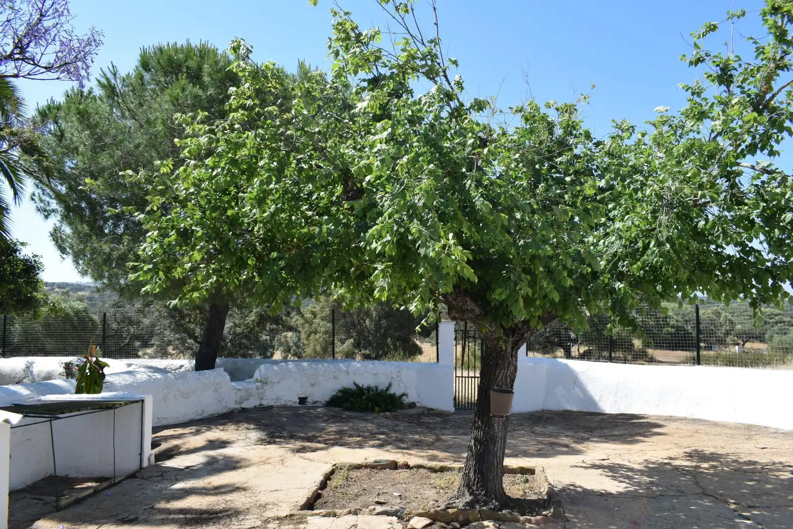 Casa rústica amb jardí en venda a Villanueva de los Castillejos, imagen 13