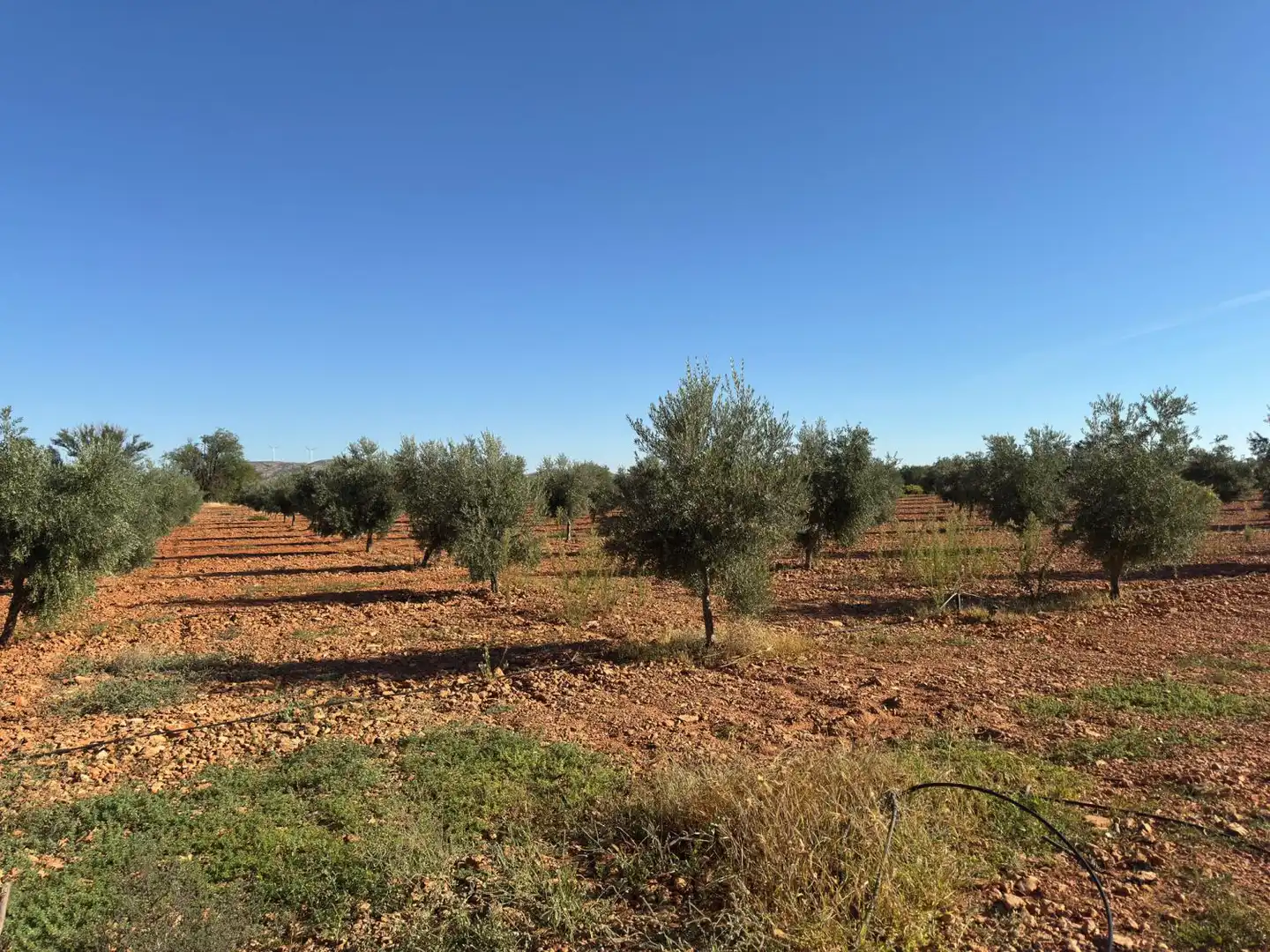 Casa rústica en venda a Valdepeñas, imagen 37