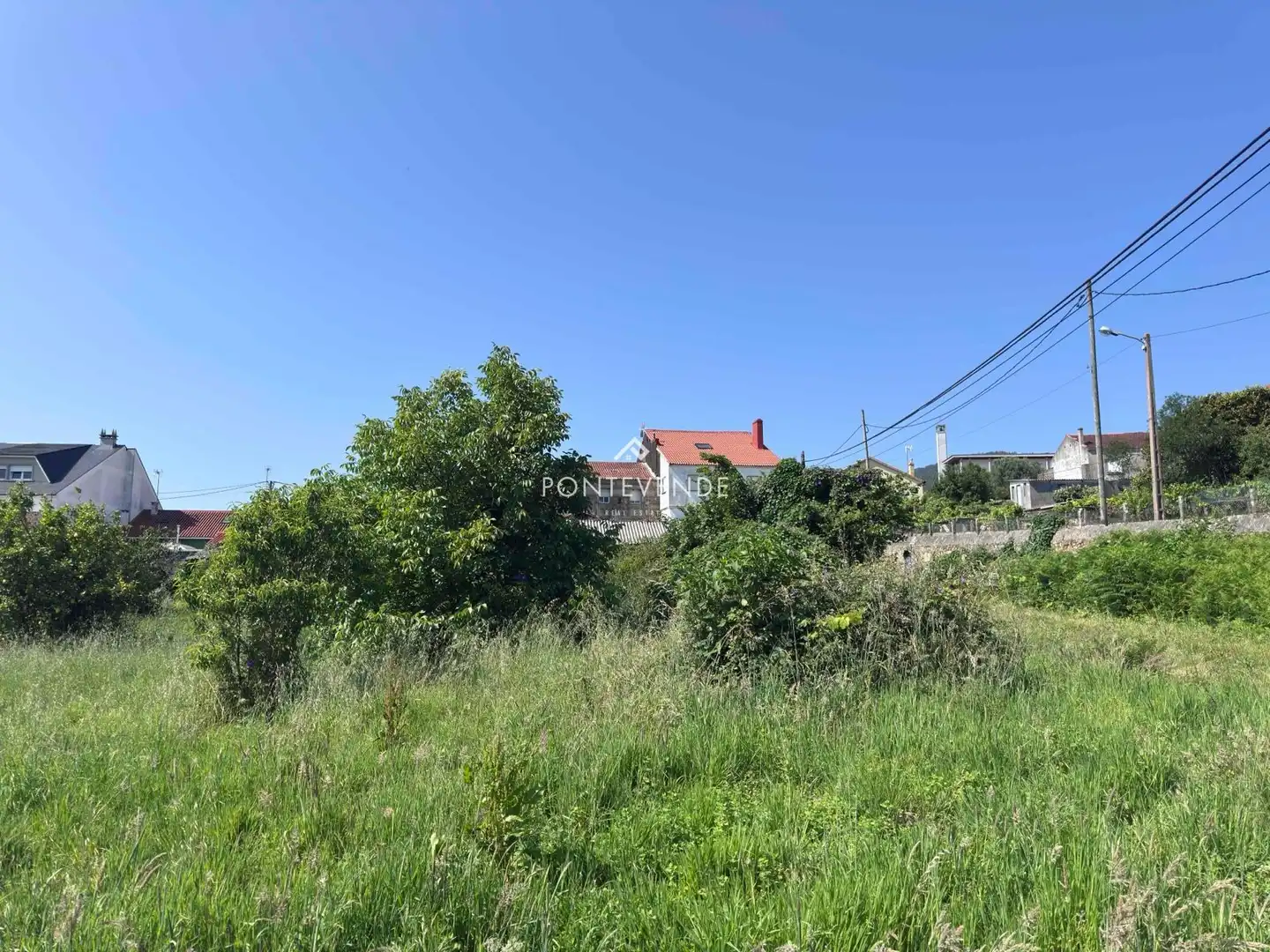 Terreno rustico in vendita a Porto (Do)-Arealonga, imagen 4