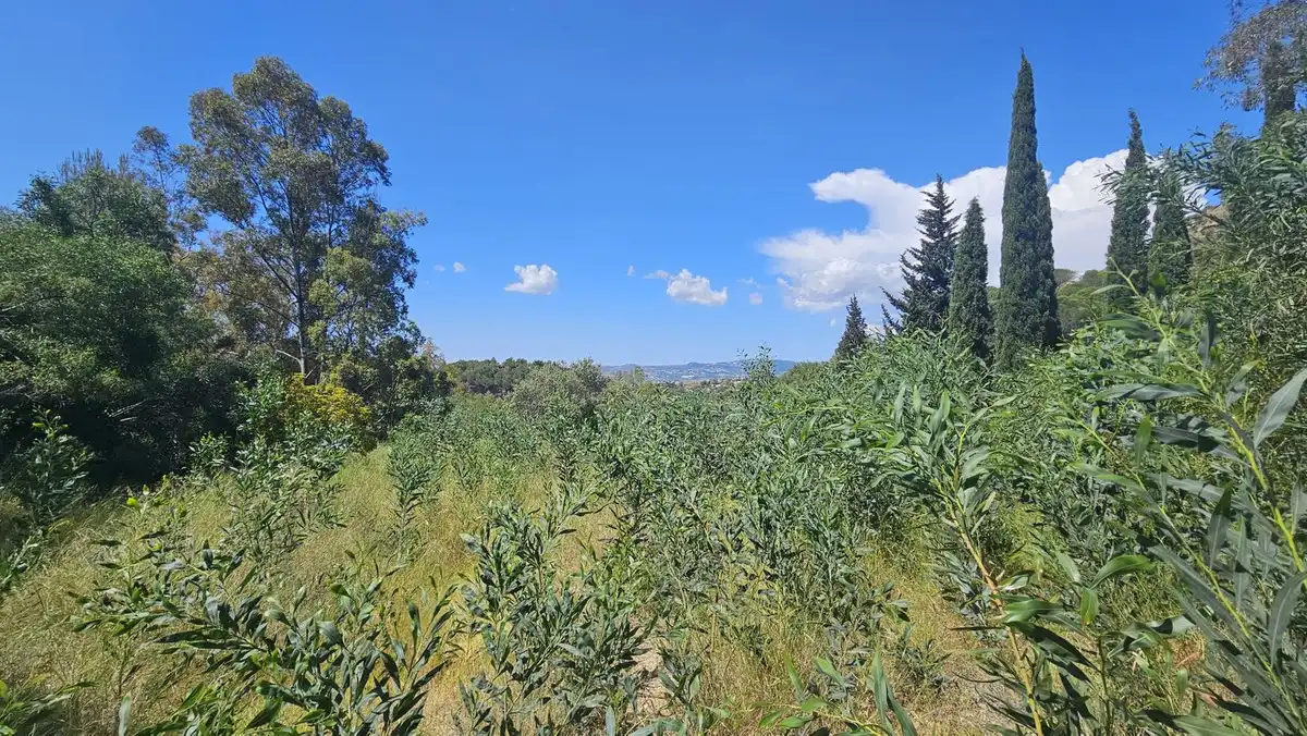 Casa rústica en venda a Mijas pueblo, imagen 23