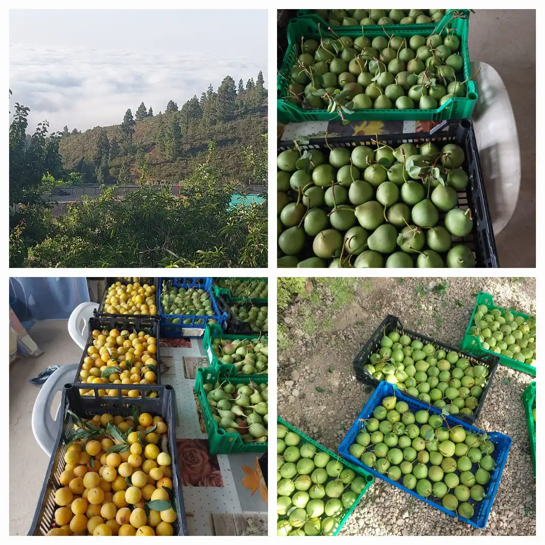 Außenansicht von Grundstücke zum Verkauf in Granadilla de Abona
