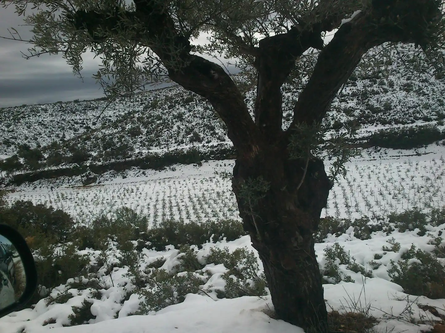 Jardín de Finca rústica en venta en Enguera con Calefacción, Jardín privado y Terraza