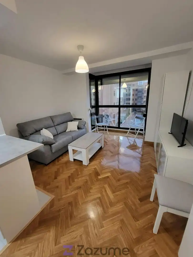 Living room of Flat for rent in  Madrid Capital  with Air Conditioner, Heating and Private garden