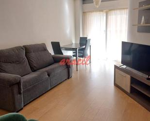 Living room of Study to rent in Ourense Capital   with Heating, Furnished and Balcony