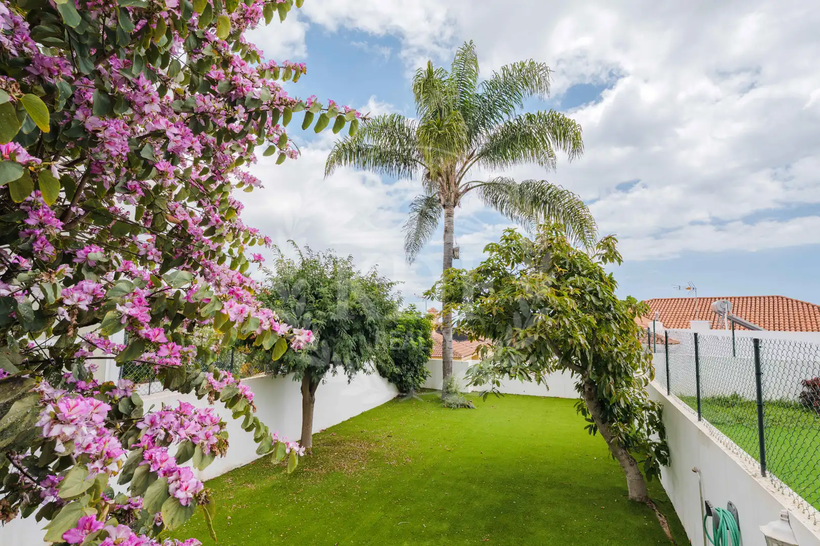 Jardí de Casa adosada en venda en Santa Cruz de Tenerife amb Jardí privat, Terrassa i Balcó
