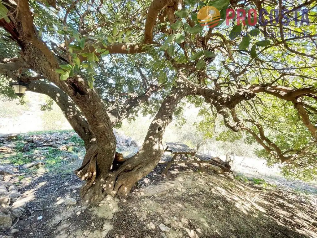 Jardín de Finca rústica en venta en Almuñécar con Jardín privado, Terraza y Piscina