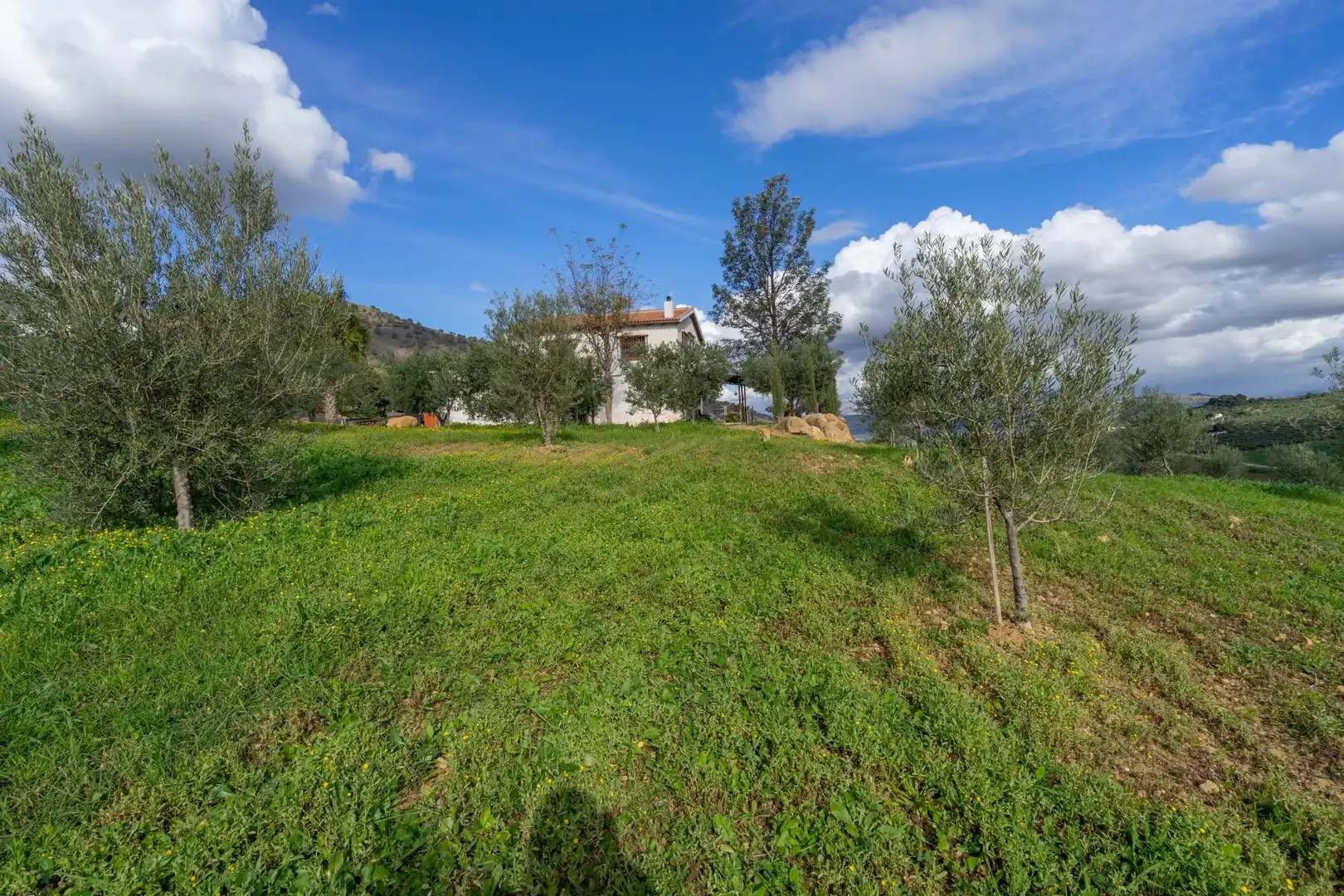 Villa zum Verkauf in Álora, imagen 57