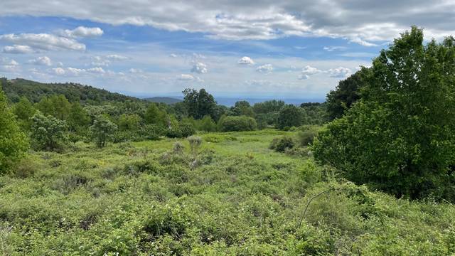 Terreno en Venta en N/A, -1 en El Arenal