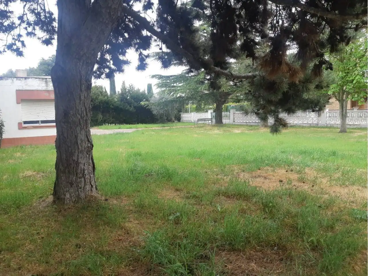Rustikales Grundstück zum Verkauf in Alpicat, imagen 4