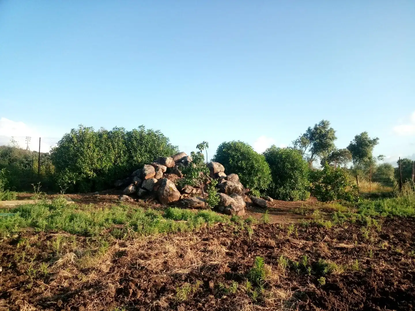 Terreni e lotti in vendita a Castilblanco de los Arroyos, imagen 6