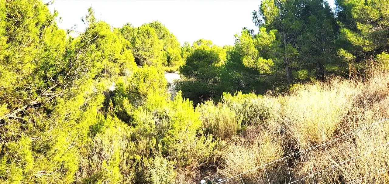 Lands and plots for sale in Monteral 210, imagen 5