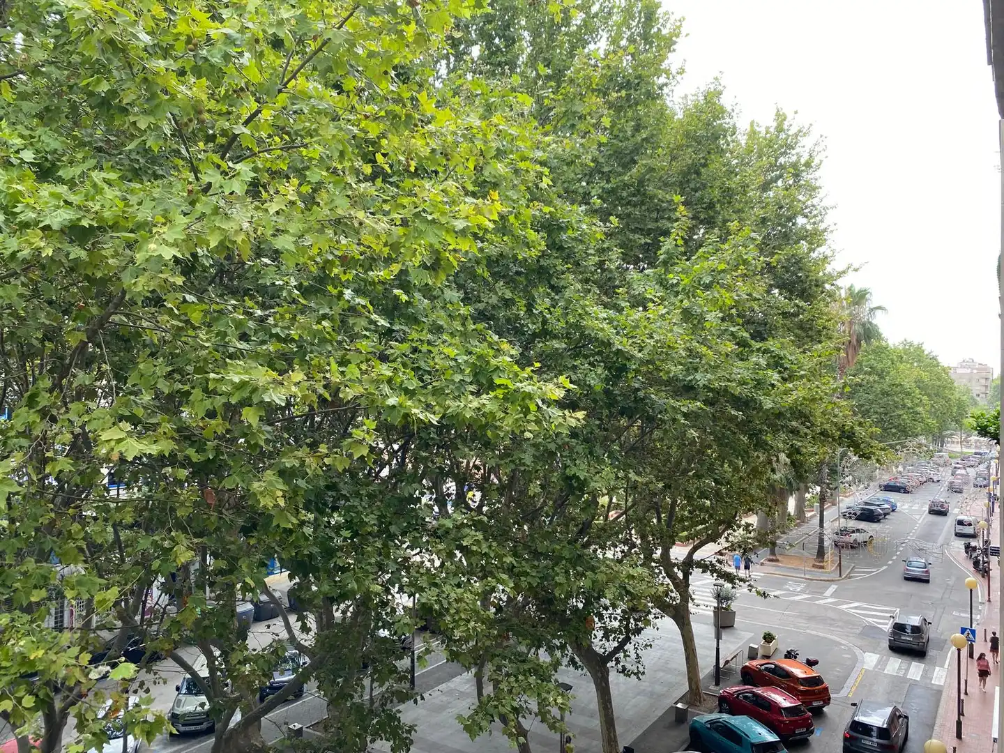 Exterior view of Flat for sale in Oliva  with Balcony