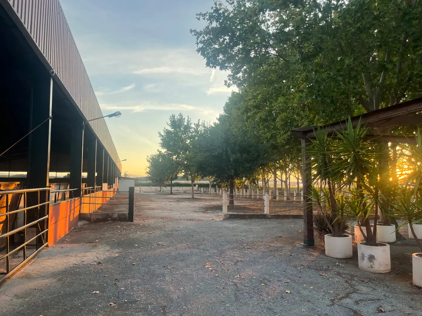 Industrial building for sale in Carretera de Córdoba, imagen 144
