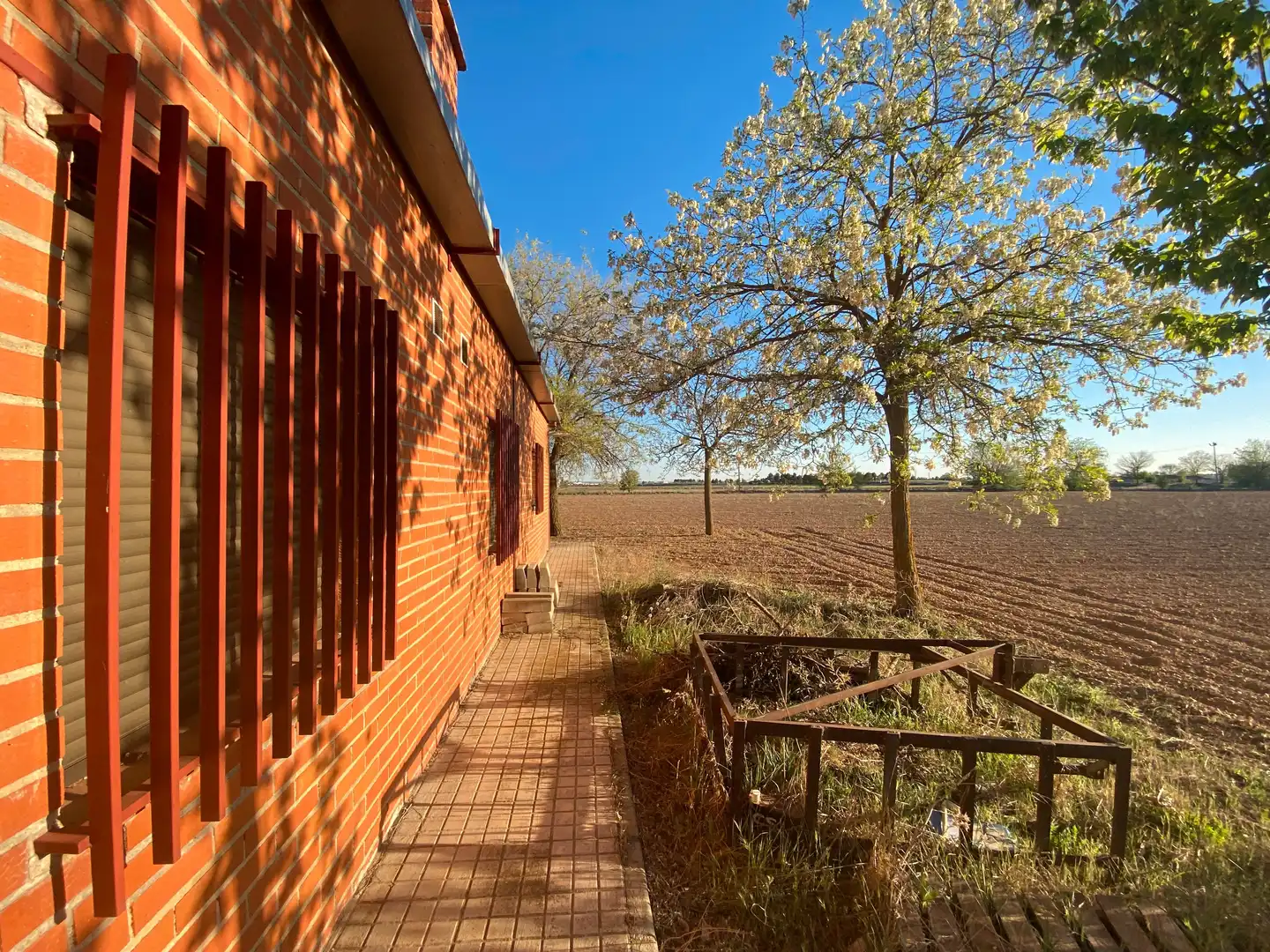 Vista exterior de Casa o chalet en venta en Tomelloso con Jardín privado, Trastero y Amueblado