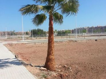Terreno residenziale in vendita a Puerto de Sagunto