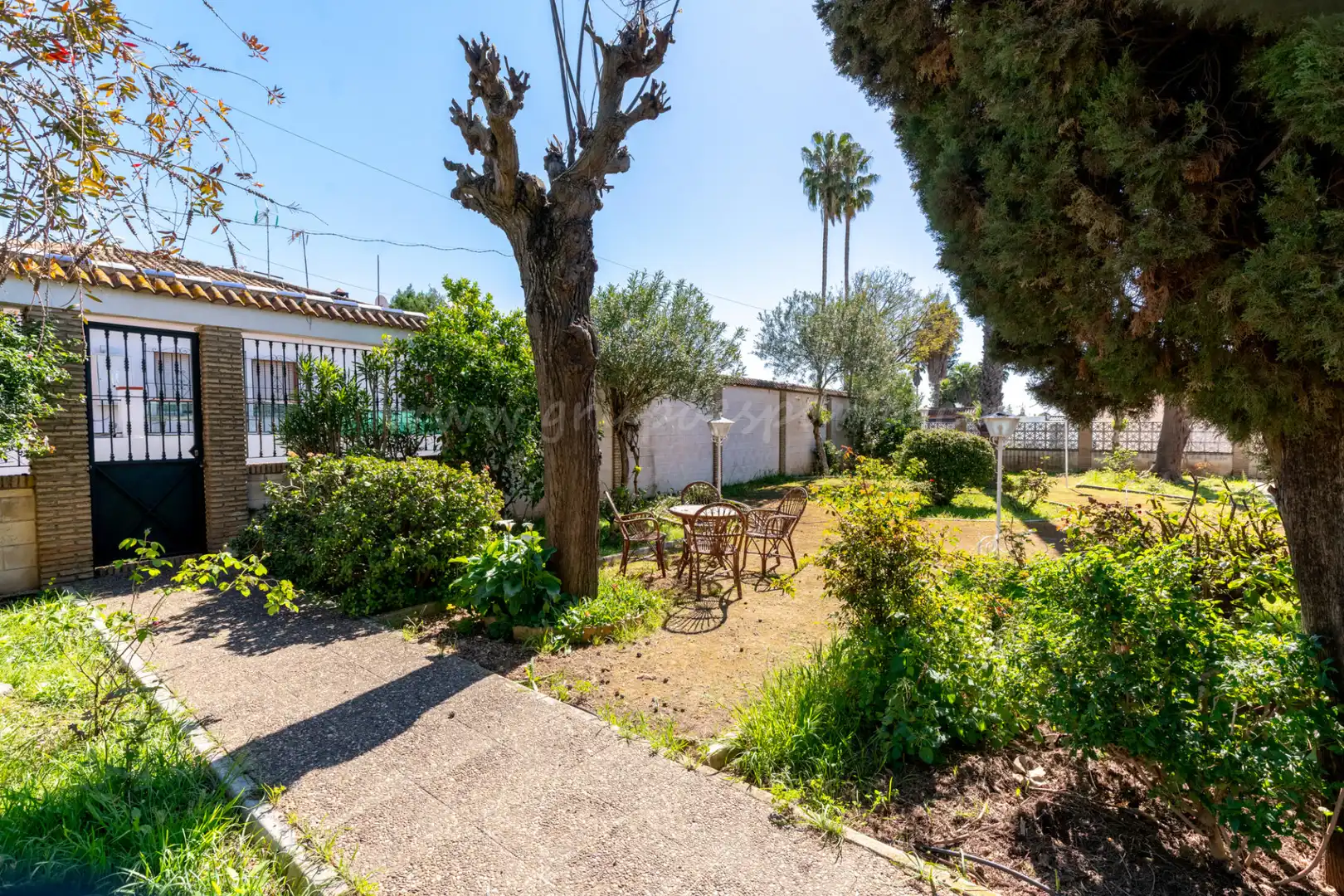 Jardín de Casa o chalet en venta en Villanueva del Ariscal con Aire acondicionado, Calefacción y Jardín privado