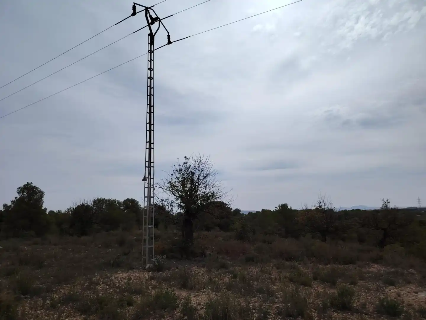 Terreny rústic en venda a Santa Bárbara, imagen 9