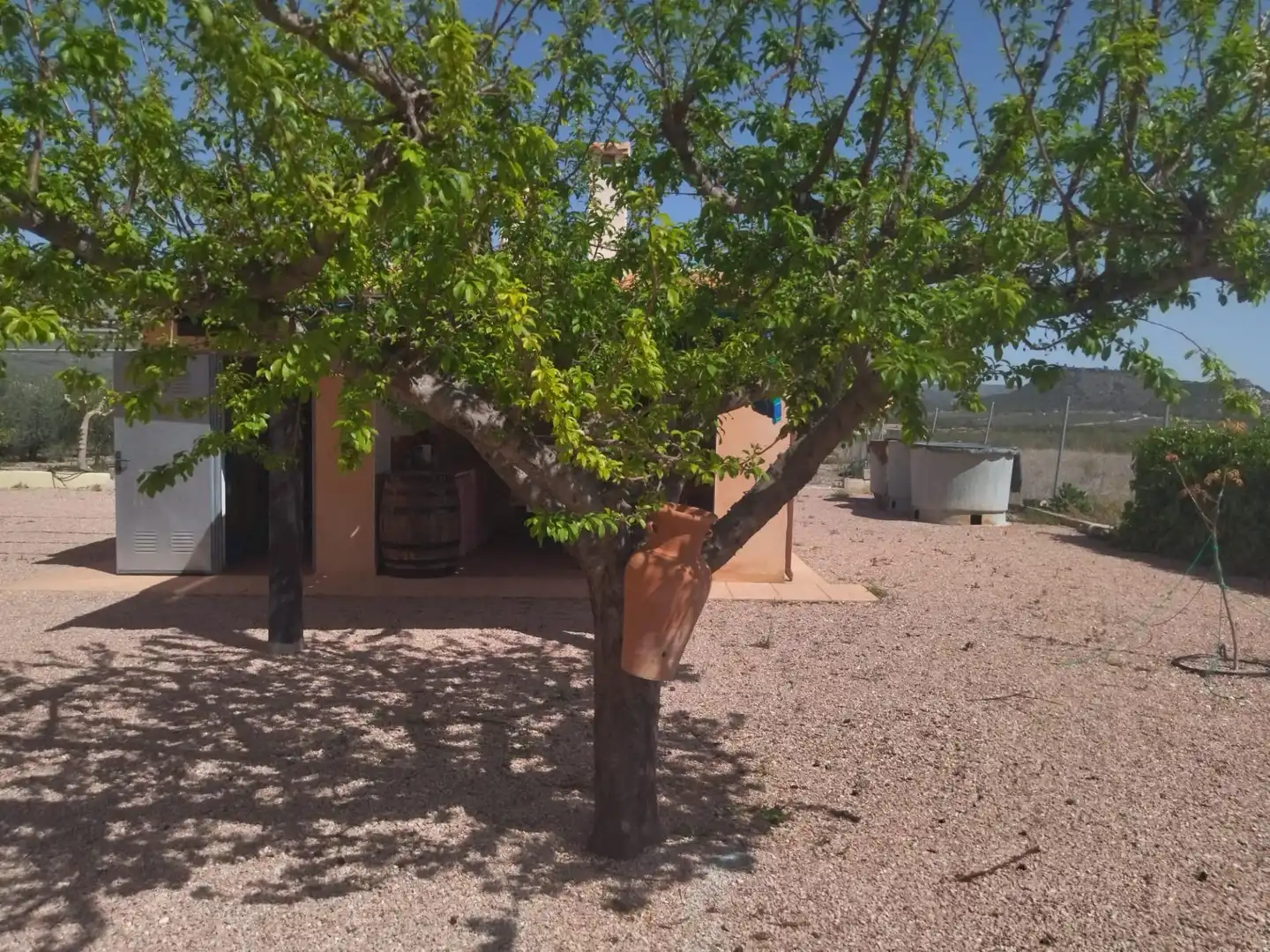 Jardín de Finca rústica en venta en Moratalla con Aire acondicionado, Calefacción y Jardín privado