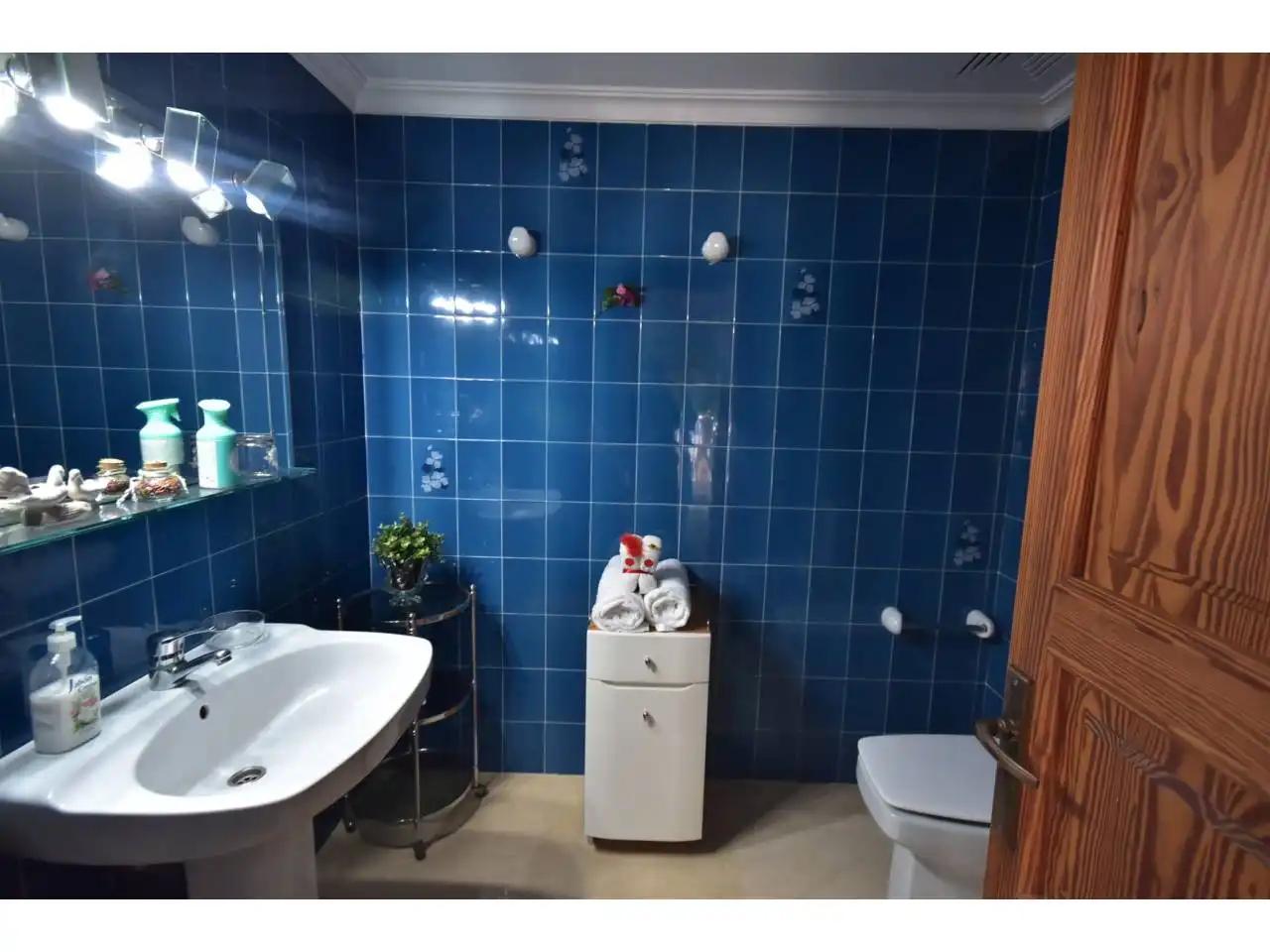 Villa avec jardin à vendre à Calle romani 14, imagen 43