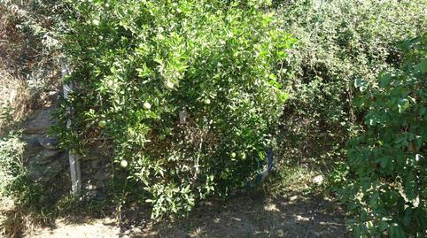 Photo 5 of House or chalet for sale in Órgiva, Granada