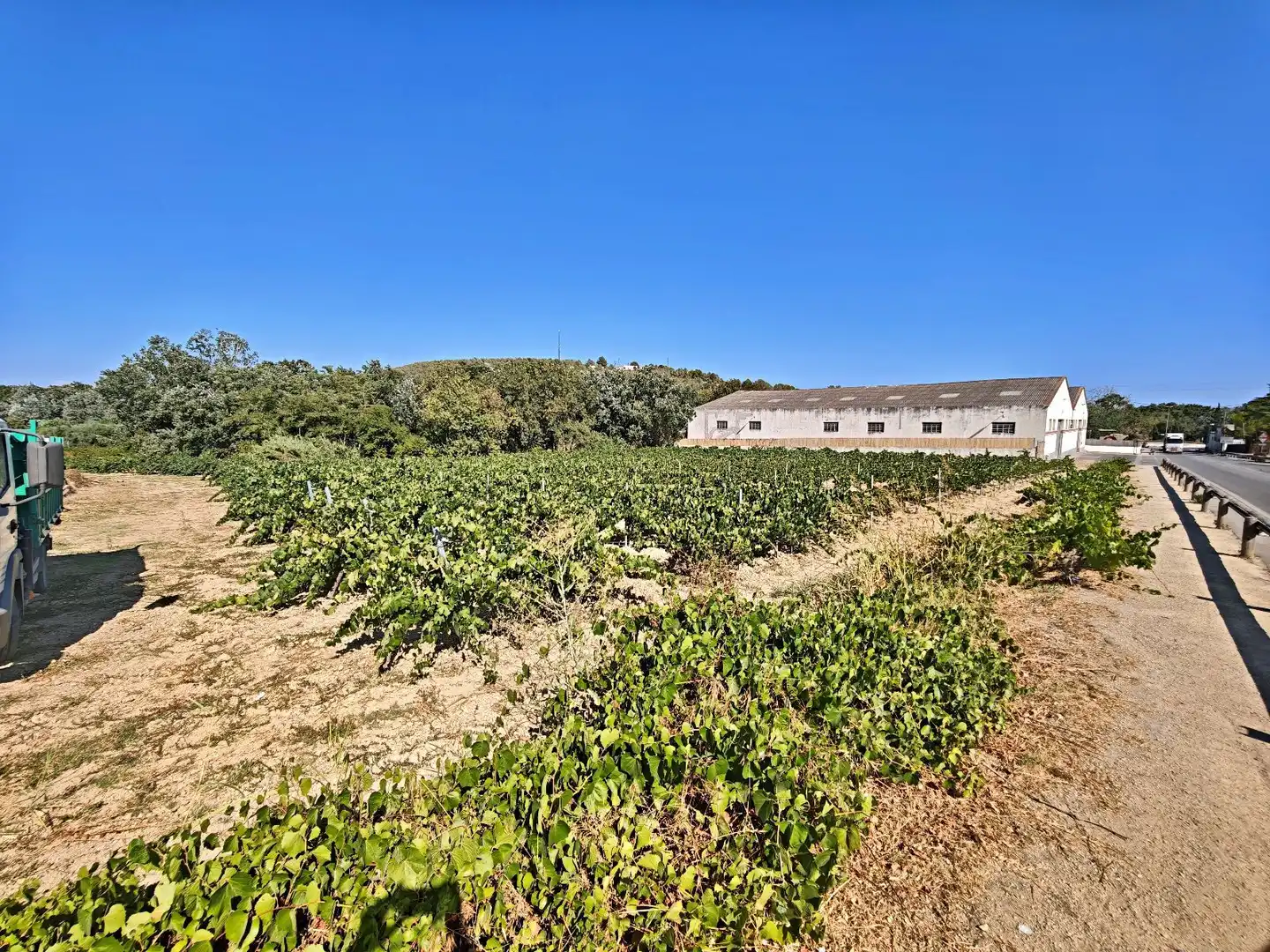 Casa o xalet en venda en Pacs del Penedès amb Calefacció, Terrassa i Traster