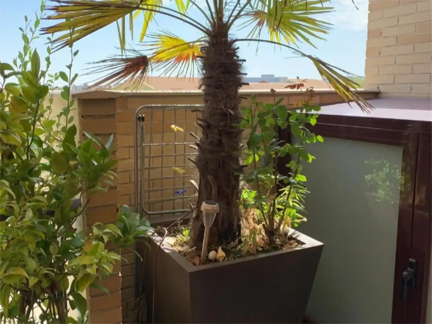 Terrassa de Àtic en venda en Boadilla del Monte amb Aire condicionat, Piscina i Balcó