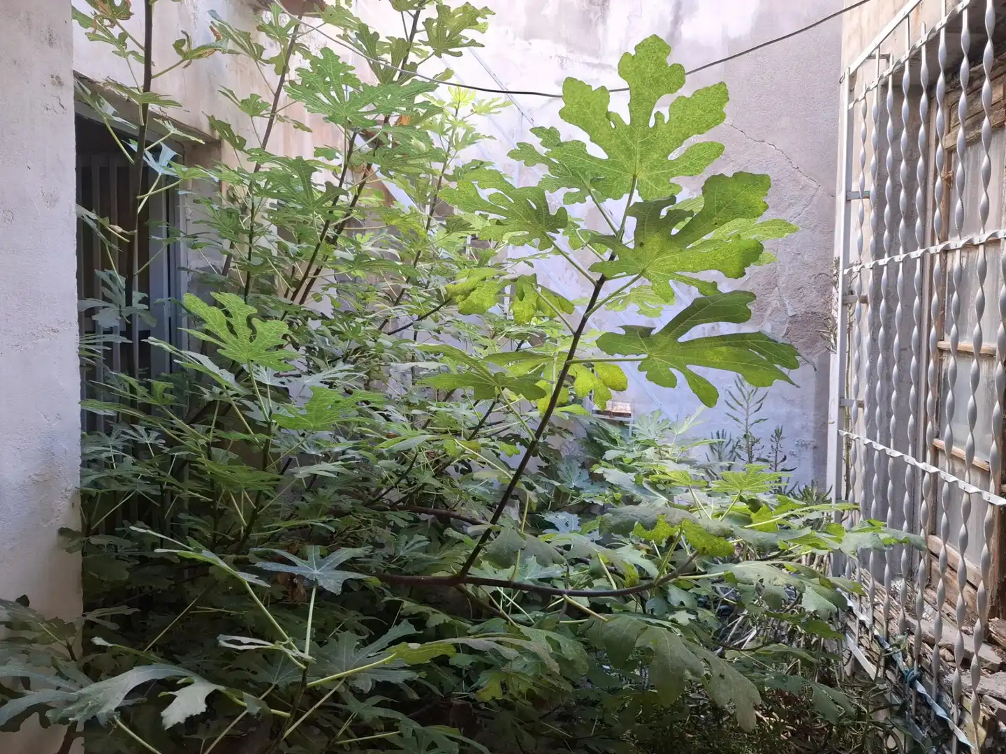 Casa en venda a Alhama de Murcia ciudad, imagen 4
