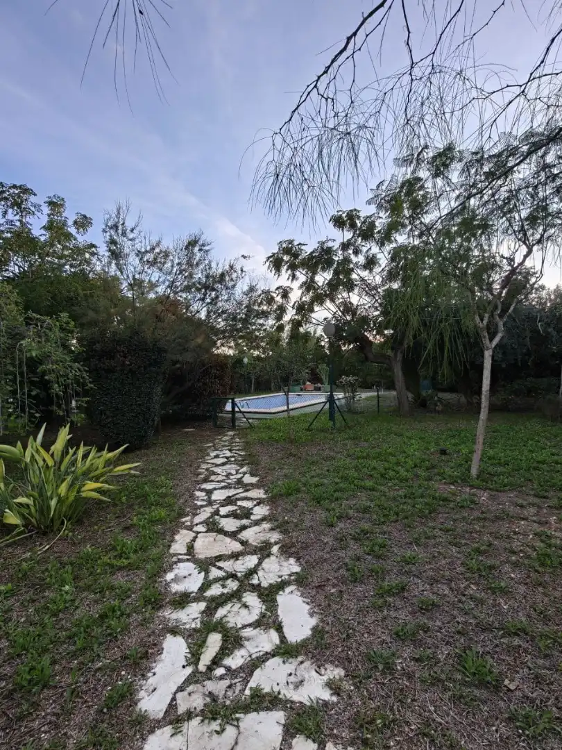 Piscina de Casa o chalet de alquiler en San Vicente del Raspeig / Sant Vicent del Raspeig con Aire acondicionado, Calefacción y Jardín privado