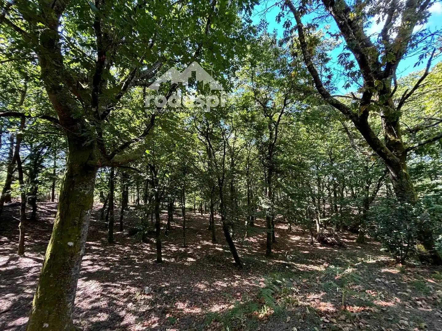 Terreny rústic en venda a A Cañiza, imagen 32