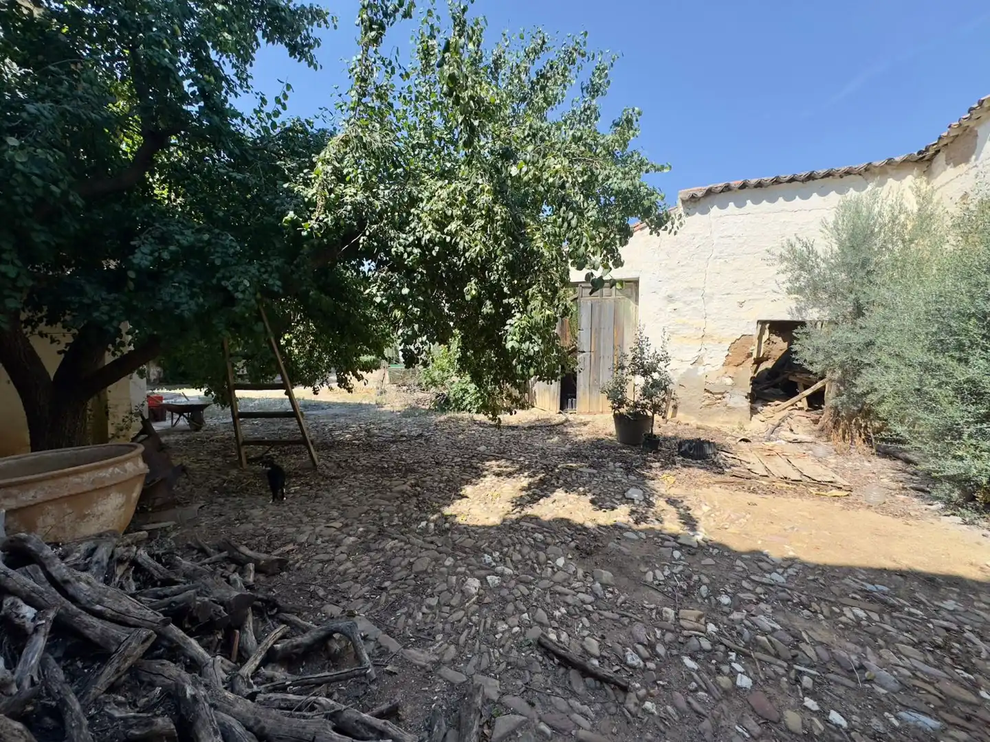 Maison à vendre à Santa Cruz de Mudela, imagen 58