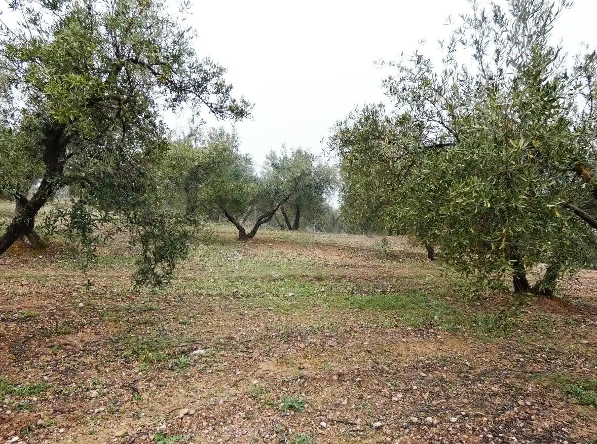 Terrain rustique à vendre à Peligros, imagen 9
