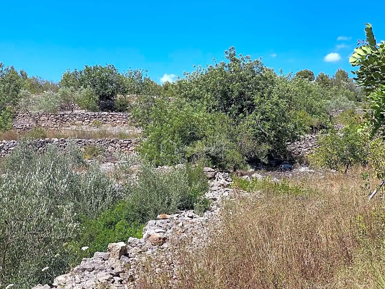 Terrain rustique à vendre à Partida Bertolins, imagen 10