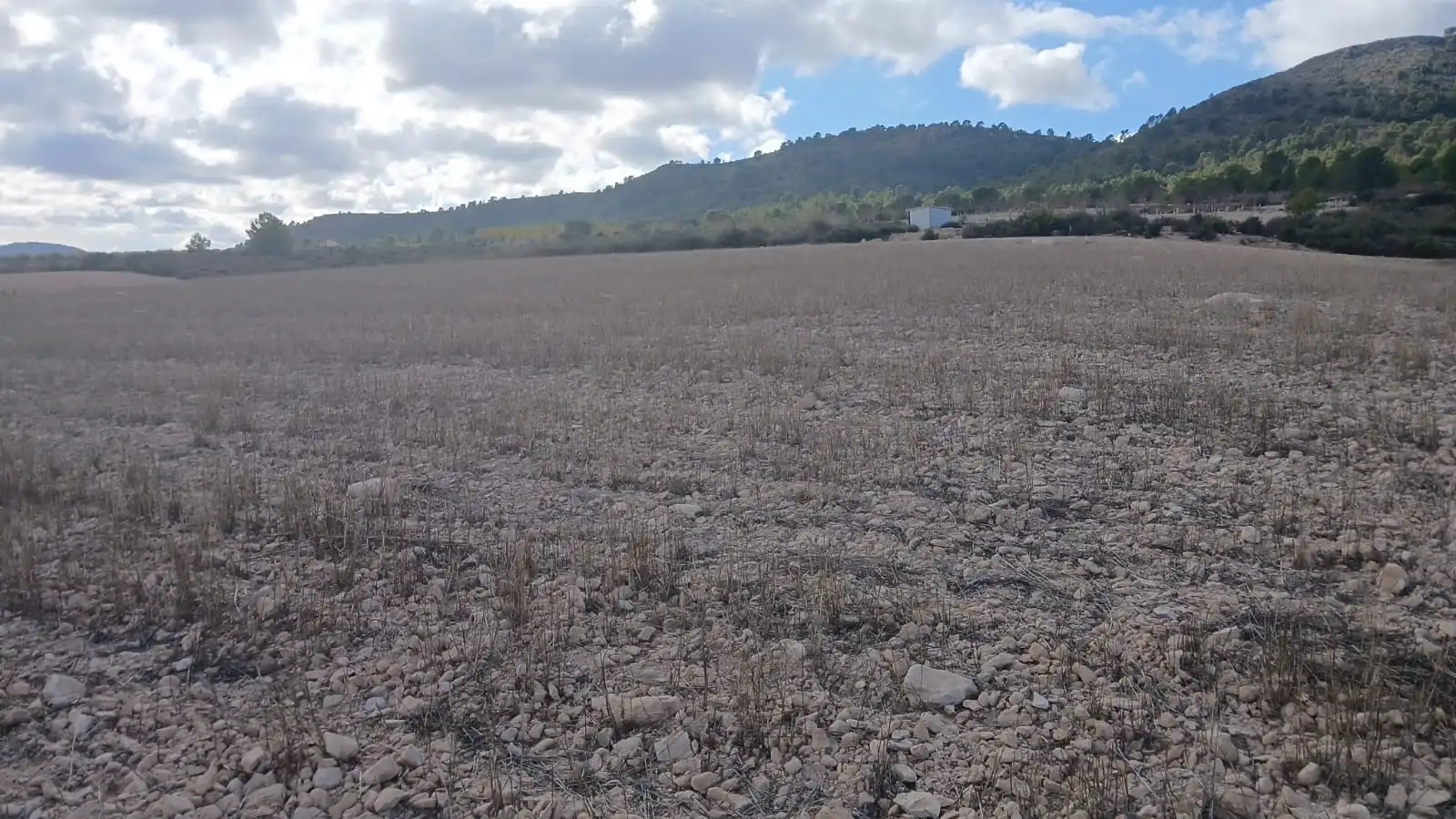 Residential land for sale in Yecla, imagen 22