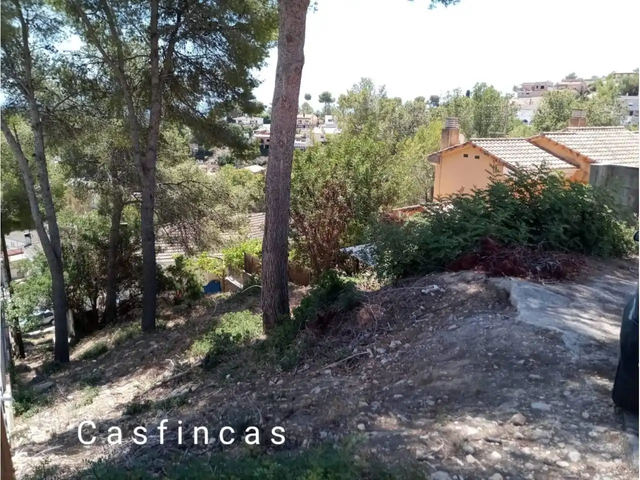 Terreny rústic en venda a Calle Tulipa