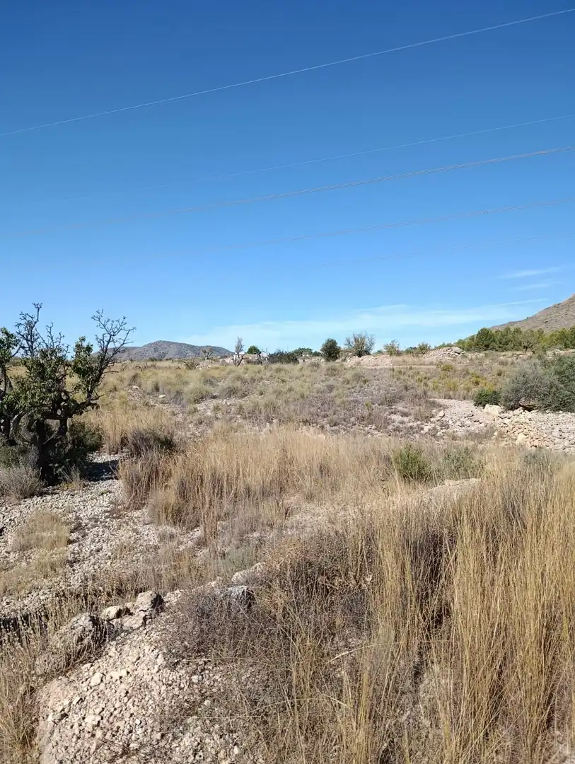 Terreno rustico in vendita a Hondón de las Nieves / El Fondó de les Neus, imagen 9