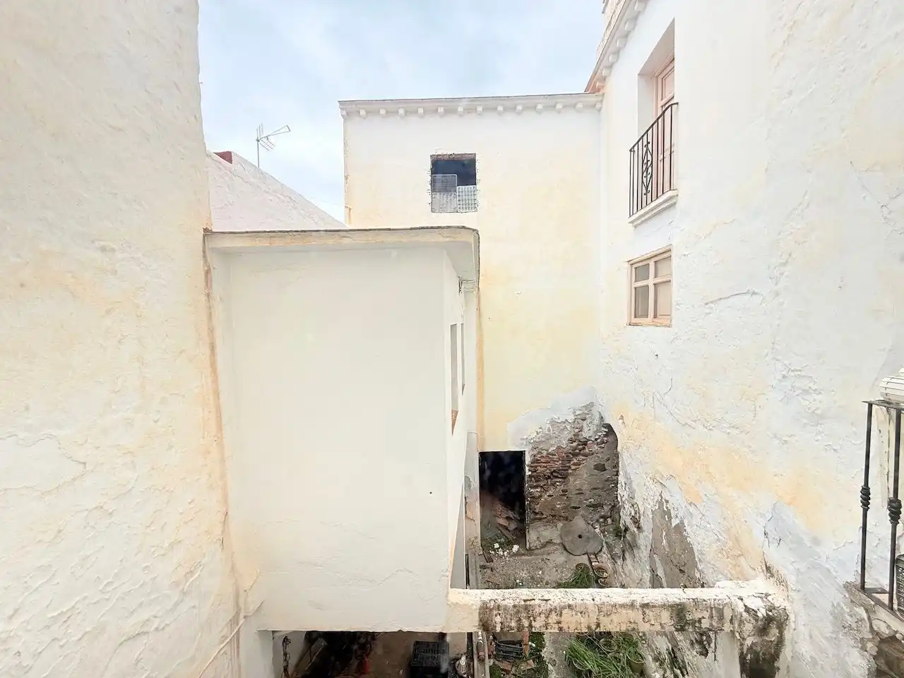 Vista exterior de Finca rústica en venta en Torrox