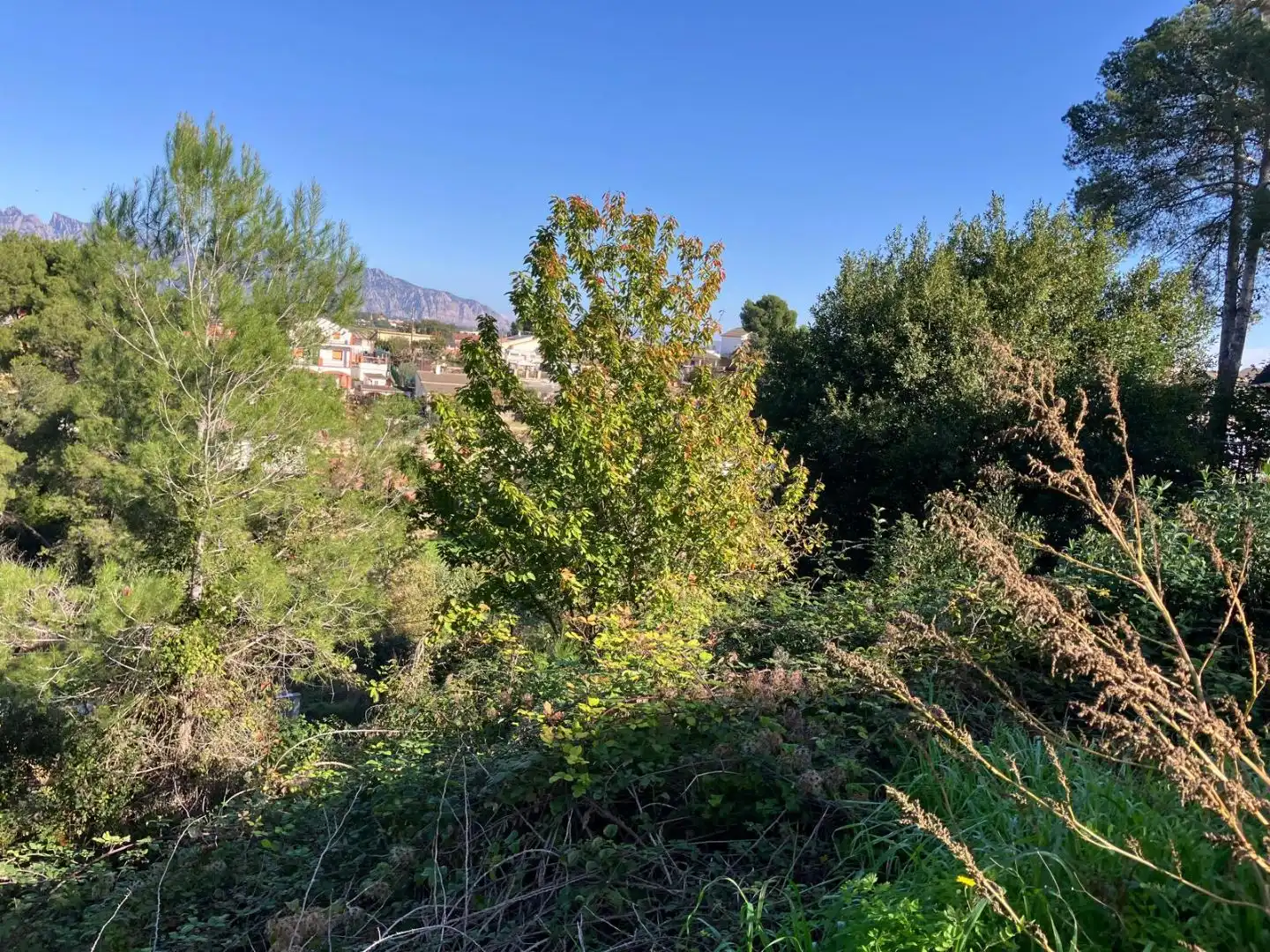 Terreno residencial en venta en Bonavista 26, imagen 7
