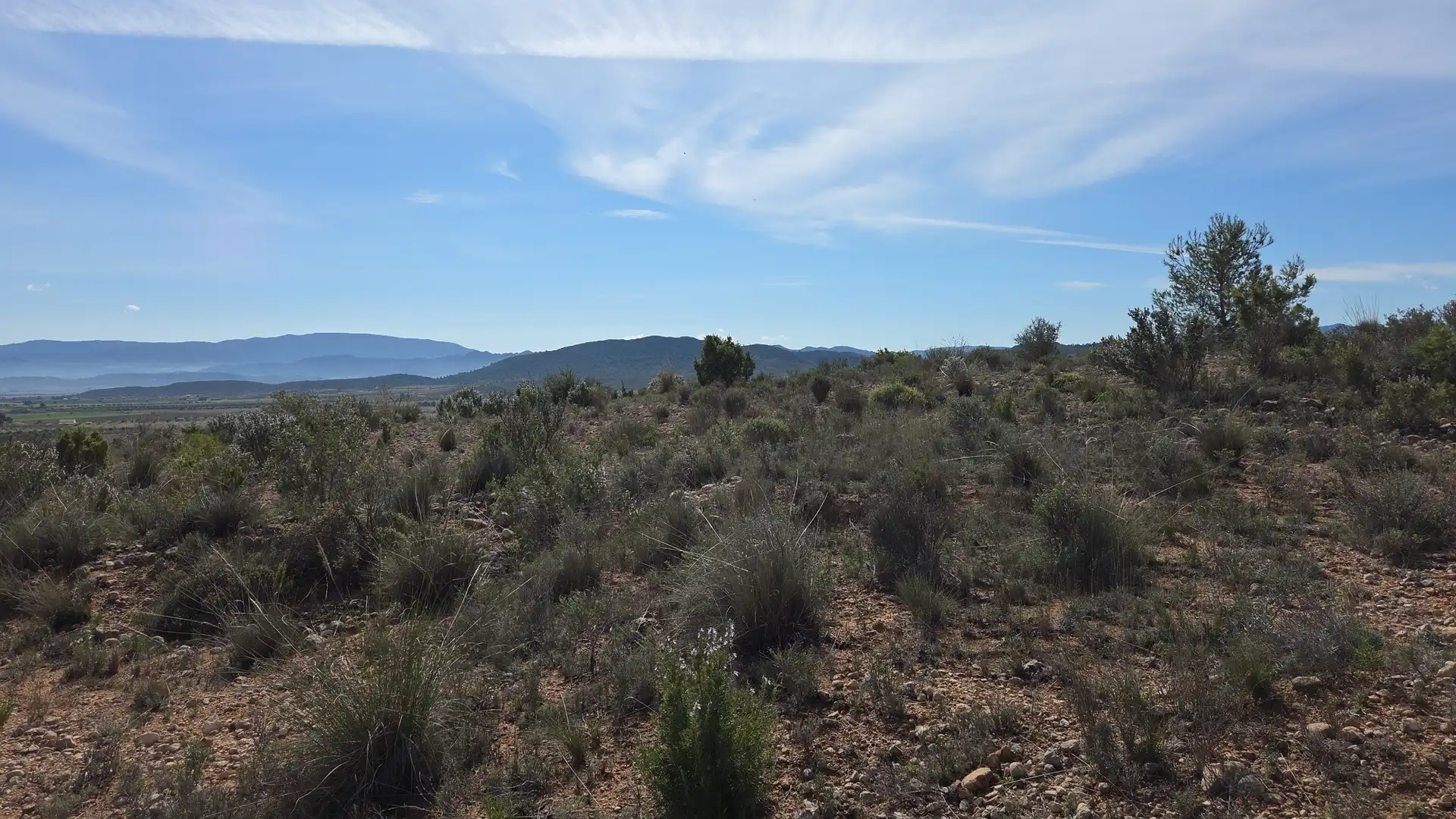Residential land for sale in Yecla, imagen 5