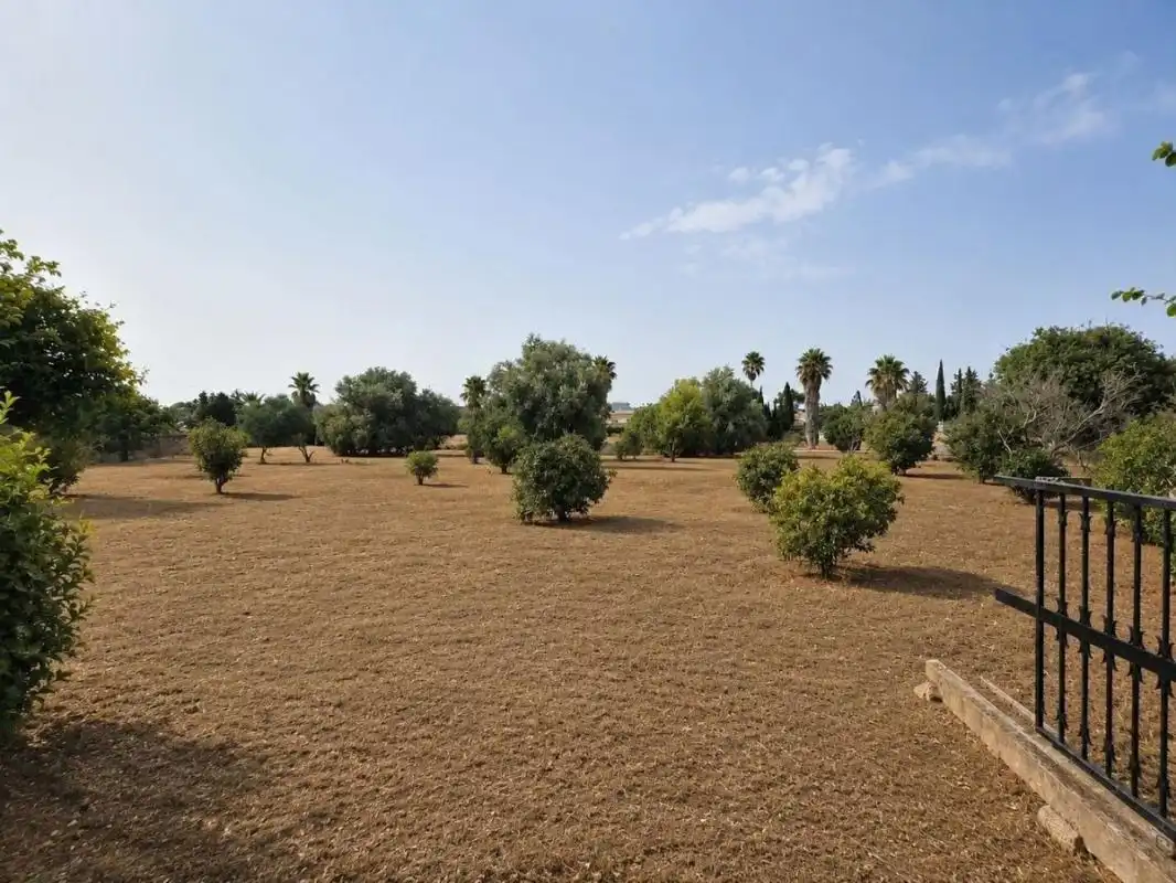 Terreny residencial en venda a Camí de Sant Joan, imagen 12