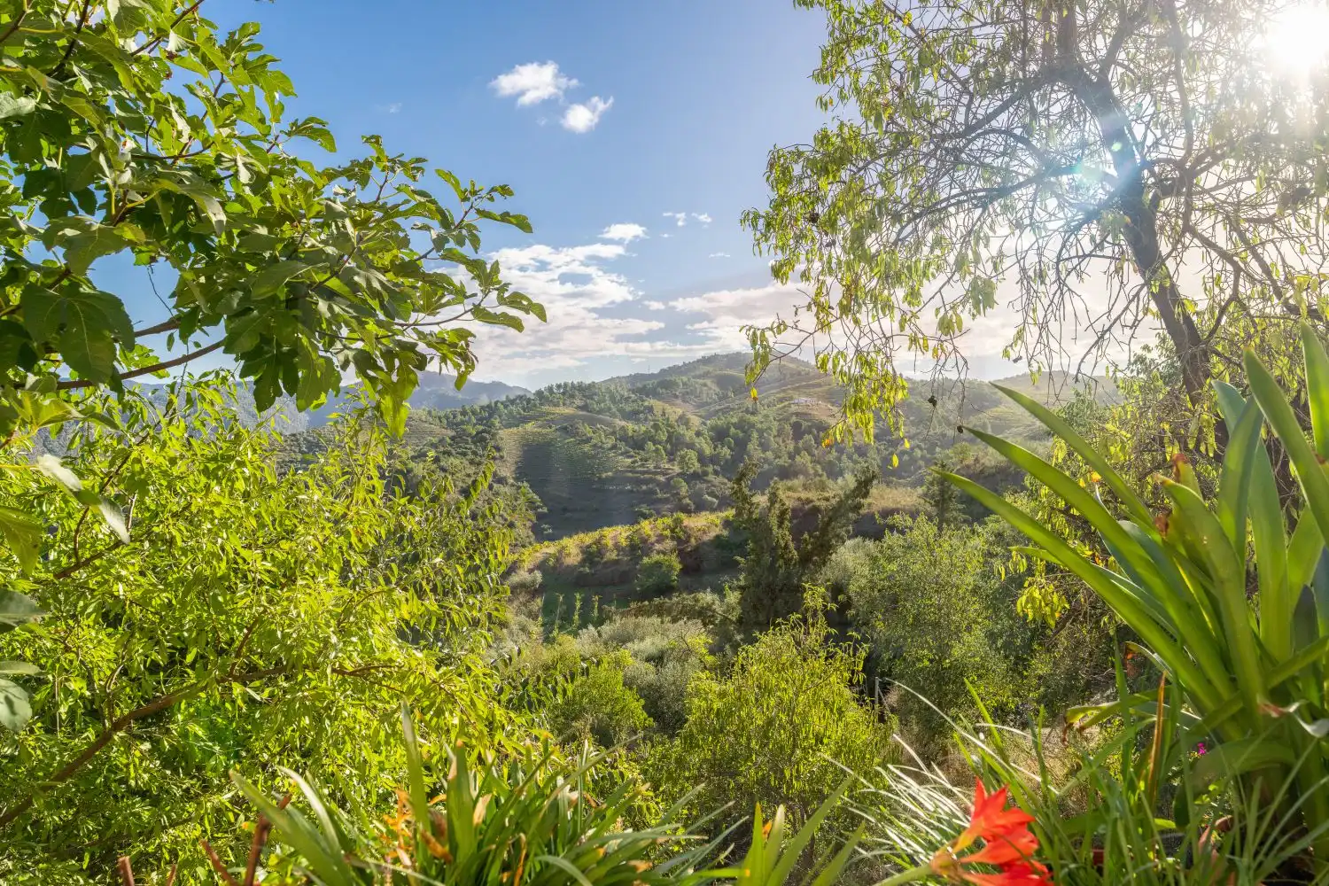 Casa o chalet en venta en Bellmunt del Priorat, Tarragona