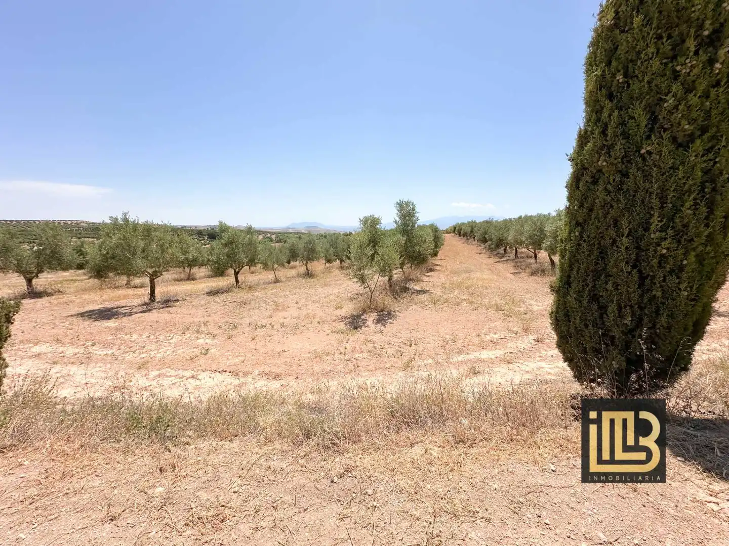 Piso en venta en Cabra del Santo Cristo con Terraza y Amueblado