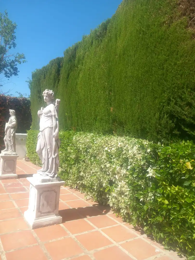 Chalet con piscina en venta en Capellanía - Retamar, imagen 5