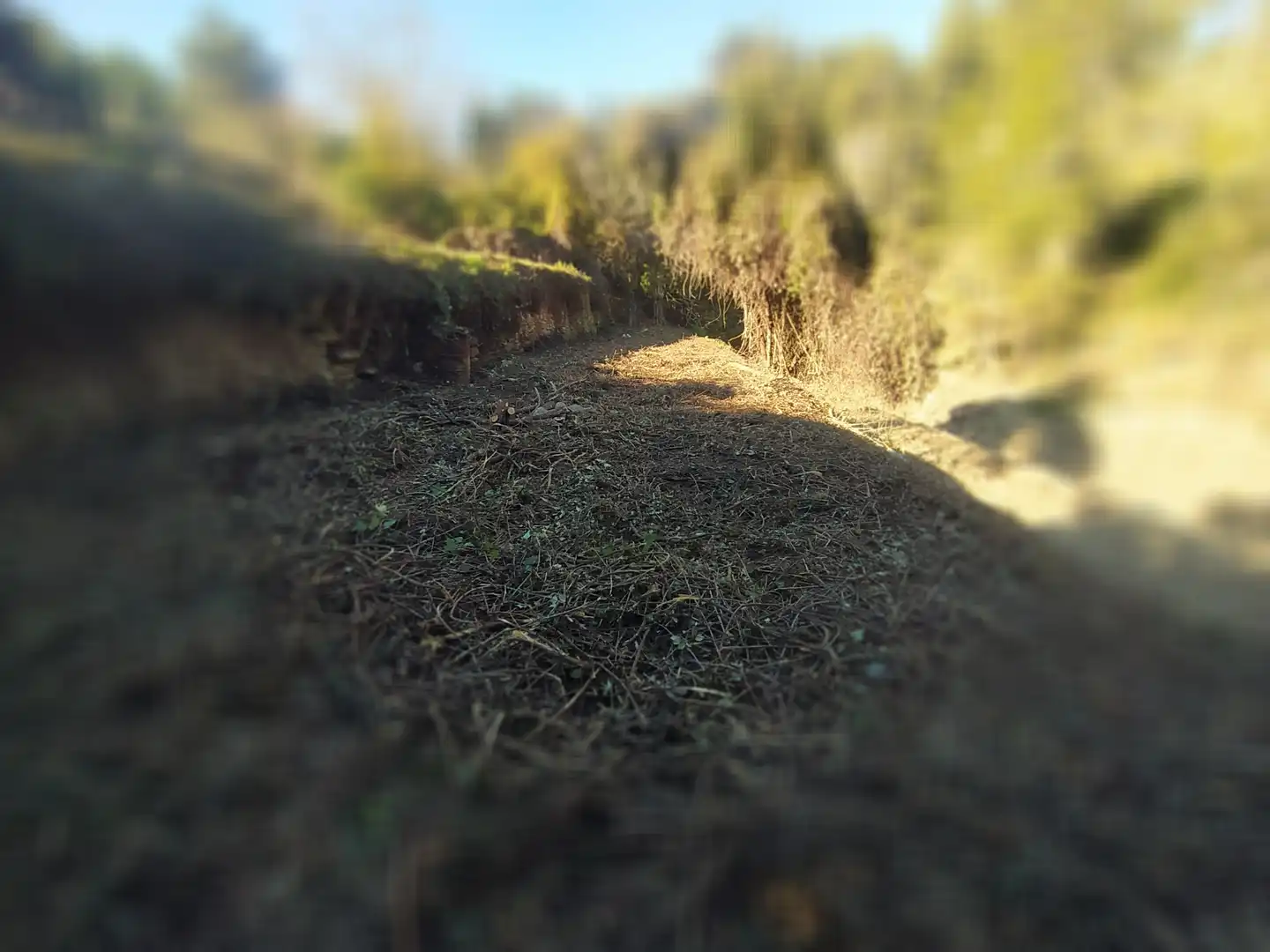 Wohnbaugrundstück zum Verkauf in Carretera Corbera a Gelida 83, imagen 15