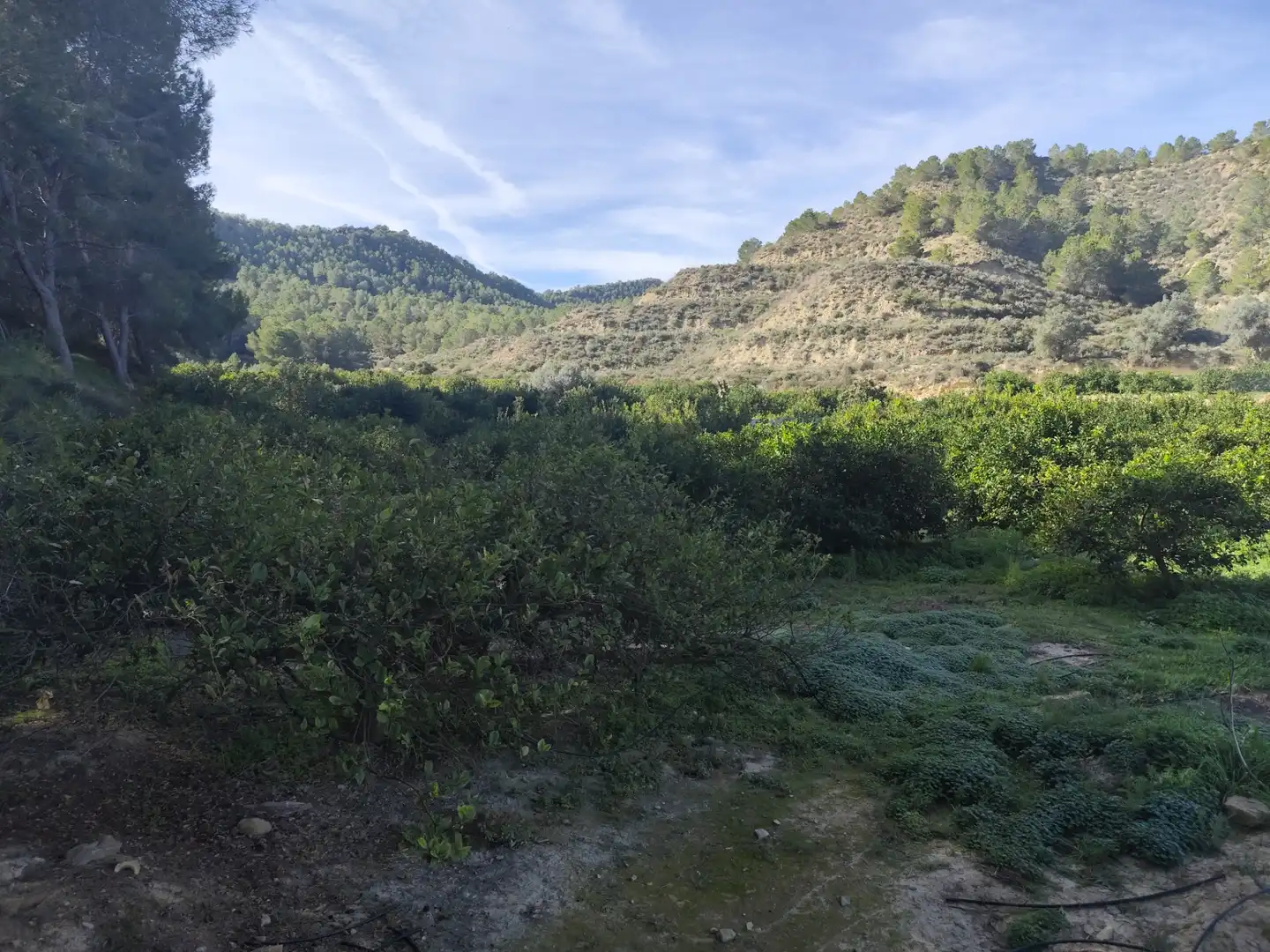 Terreny en venda en Murcia