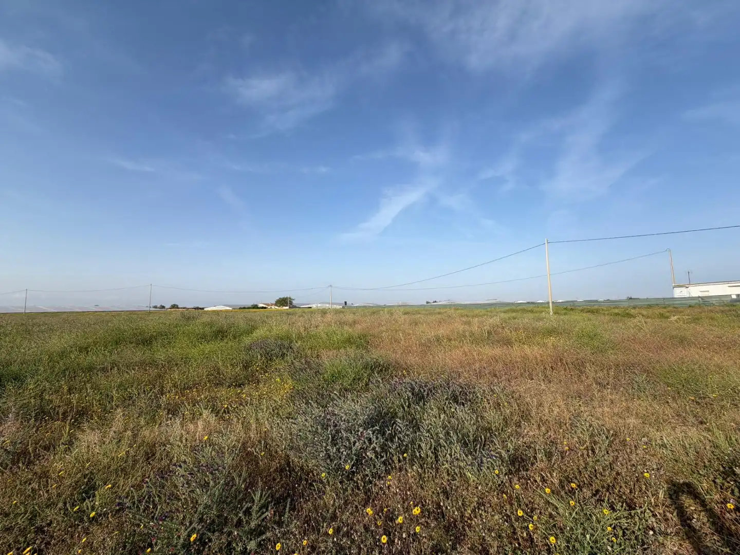 Lands and plots for sale in Torre-Pacheco ciudad, imagen 2